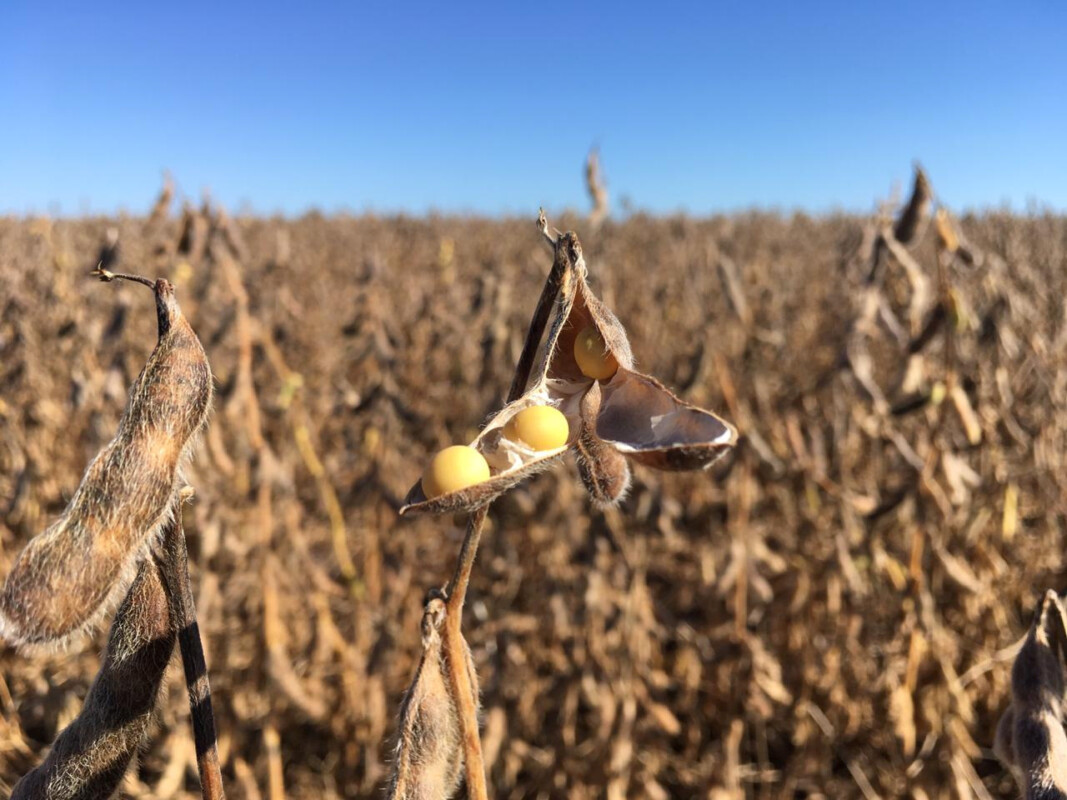 REUTERS/Jose Roberto Gomes
