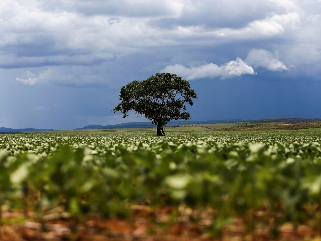 Agro